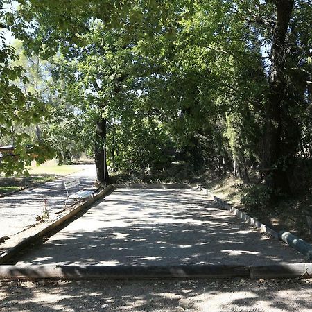 Le Mas Du Vieux Chene Saint-Paul-en-Forêt エクステリア 写真